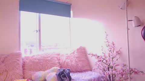 vero_bloomx online show from July 2026 12:10:01 PM
