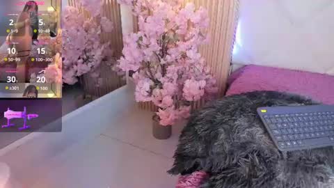 Snapshot of veronica_hill_ chatting on June 2026 03:18:01 AM veronica_hill_ online show from June 2026 03:18:01 AM