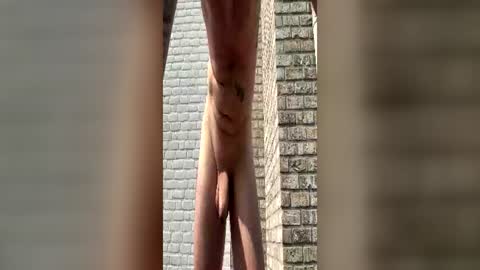 vex82411 online show from June 2026 02:09:01 PM
