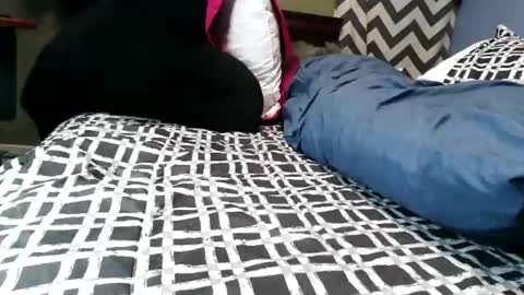 Snapshot of vexnew chatting on February 2026 09:38:01 PM Vexnew online show from February 2026 09:38:01 PM