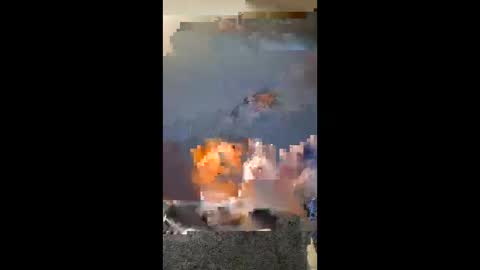 vhornynige69 online show from January 2026 03:09:01 AM