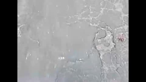 Snapshot of viciouzz1 chatting on November 2025 07:02:01 PM viciouzz1 online show from November 2025 07:02:01 PM