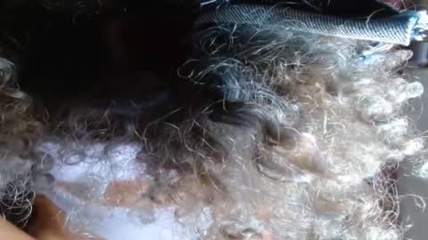 Snapshot of victoria_miler chatting on February 2025 03:54:01 AM VICKY online show from February 2025 03:54:01 AM