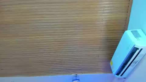 Snapshot of viiolett_lee chatting on November 2025 07:58:01 PM Viiolett online show from November 2025 07:58:01 PM