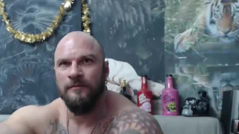 viking online show from February 2026 08:51:01 PM