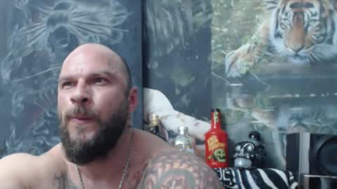 viking online show from April 2026 06:41:01 PM