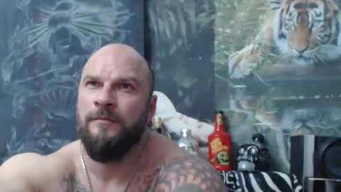 Snapshot of viking_me chatting on April 2026 06:11:02 PM viking online show from April 2026 06:11:02 PM