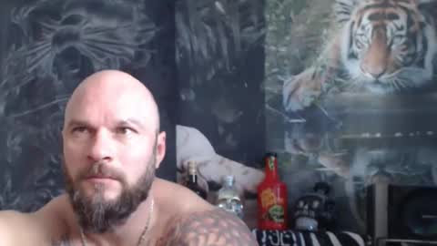 Snapshot of viking_me chatting on April 2026 06:38:02 AM viking online show from April 2026 06:38:02 AM