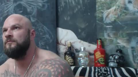 Snapshot of viking_me chatting on May 2026 05:41:01 PM viking online show from May 2026 05:41:01 PM