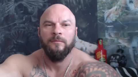 Snapshot of viking_me chatting on May 2026 06:08:01 AM viking online show from May 2026 06:08:01 AM