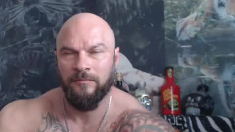 Snapshot of viking_me chatting on May 2026 06:53:01 AM viking online show from May 2026 06:53:01 AM