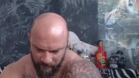 Snapshot of viking_me chatting on June 2026 06:32:02 AM viking online show from June 2026 06:32:02 AM