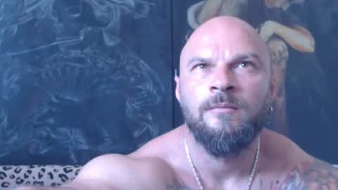 Snapshot of viking_me chatting on June 2026 06:41:01 AM viking online show from June 2026 06:41:01 AM