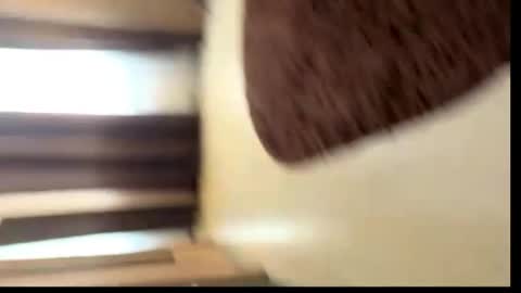 viktoriya_kreyzi online show from May 2026 03:41:02 PM
