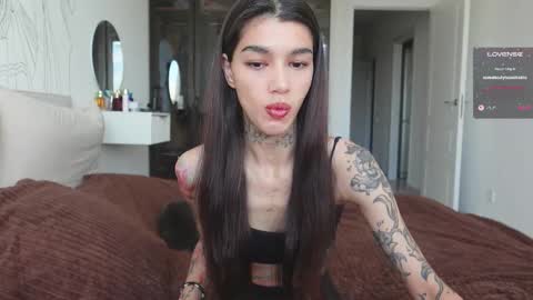 vinkitinkii online show from October 2025 06:56:01 AM