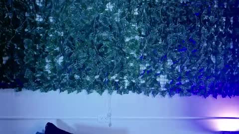 VioletaBliss online show from March 2026 12:08:01 PM
