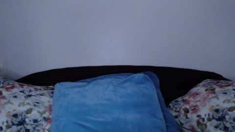 Snapshot of vitalina_freedom chatting on January 2025 03:50:01 PM Vitalina online show from January 2025 03:50:01 PM