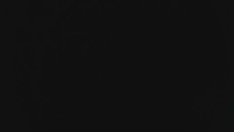 Marie online show from March 2025 03:41:01 PM