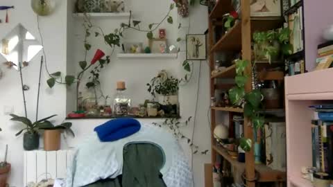 Viv online show from December 2024 09:33:01 AM