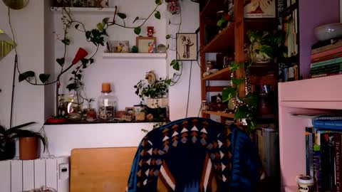 Viv online show from December 2024 08:18:01 PM