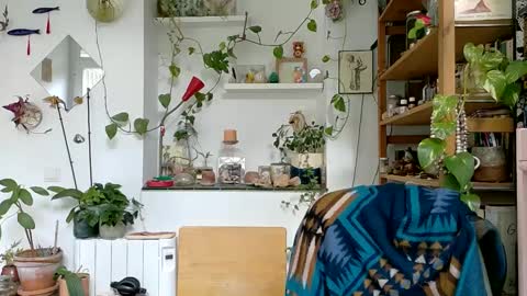 Viv online show from January 2025 01:08:02 PM