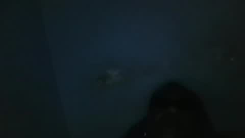 vivitransbahia22cm online show from February 2025 10:24:02 AM