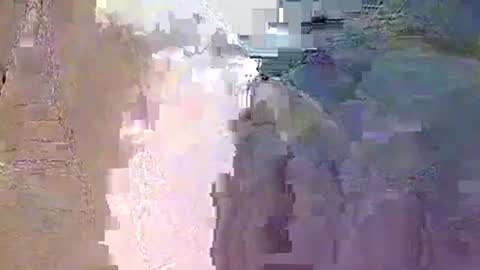 vteck381047 online show from December 2025 11:28:02 AM