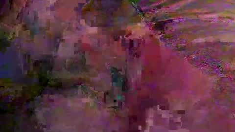 vteck381047 online show from March 2026 08:54:02 AM