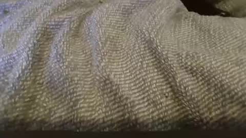 hung boy online show from February 2025 02:34:02 PM