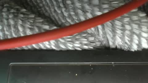 hung boy online show from March 2025 03:57:01 AM