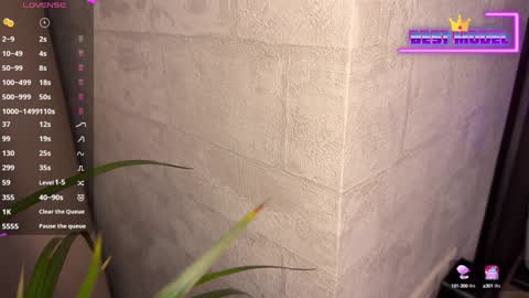 Walt Enjoy online show from February 2025 08:26:02 PM