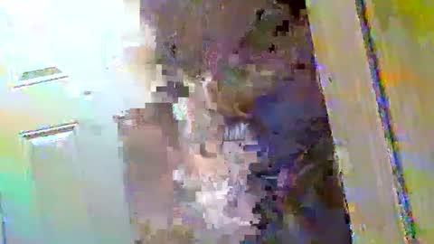 Walter online show from December 2024 10:43:01 AM