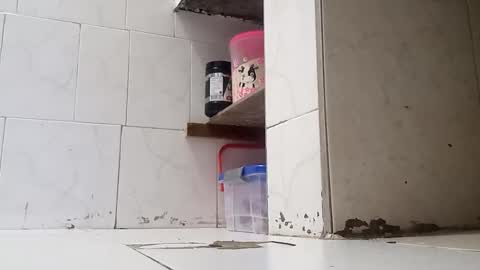 WaltherFeet  online show from January 2025 09:50:02 PM