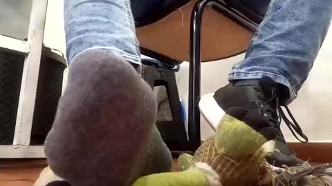 WaltherFeet  online show from February 2025 06:56:02 PM