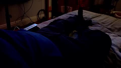 I love the ol in-n-out  online show from March 2026 03:22:01 AM