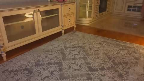 hello guys im Lilian online show from December 2025 03:04:01 AM