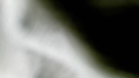 wangi_wangi online show from February 2026 06:48:01 PM