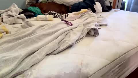 watershed111111 online show from February 2026 06:40:02 PM