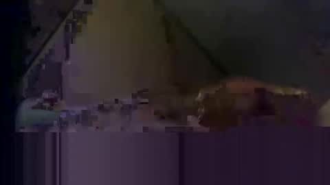 waynedmiller60895321 online show from April 2026 02:53:02 AM