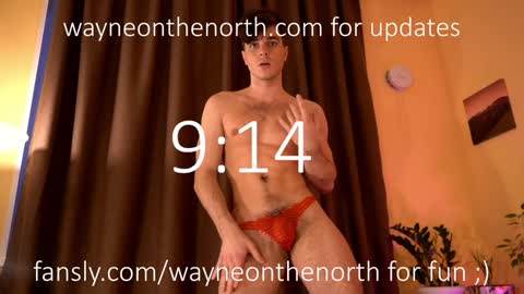 waynenorth online show from January 2025 04:18:01 AM