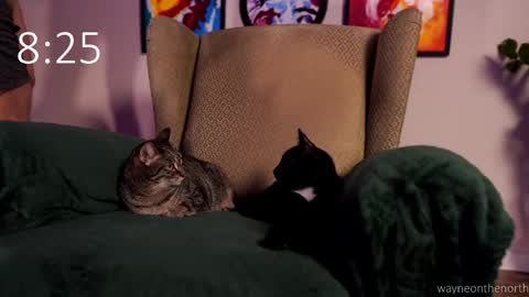 waynenorth online show from February 2026 03:21:01 PM