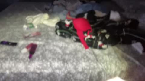 wedifferent_ online show from November 2025 12:51:02 PM