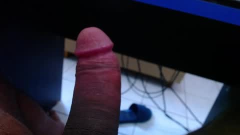 wellingtont online show from April 2026 05:38:01 AM