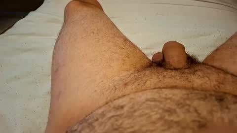 Werty online show from June 2026 10:14:02 PM