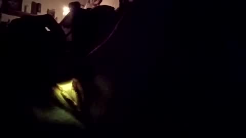 wetpixiepuss online show from October 2025 07:12:01 AM