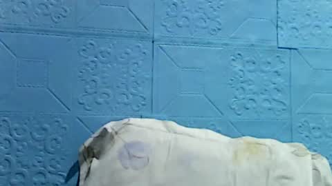 wettyhottie69 online show from July 2026 10:31:02 PM