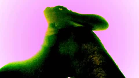 whatsexo online show from February 2025 12:54:02 AM