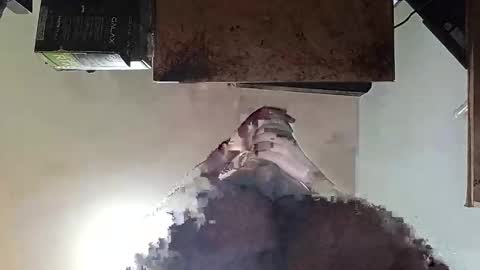 whatsexo online show from September 2025 07:10:01 AM