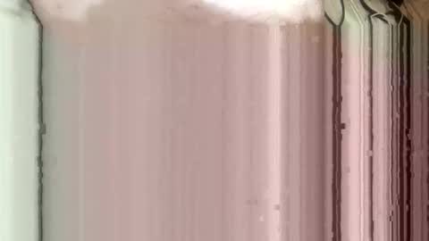 Snapshot of whispereddy chatting on March 2026 11:03:01 AM whispereddy online show from March 2026 11:03:01 AM