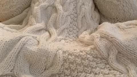 whitesweater online show from February 2026 06:39:02 AM